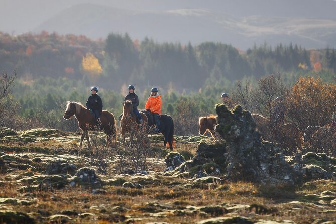 Private Icelandic Horseback Ride: Matched to Skill Level - Key things to know before you go