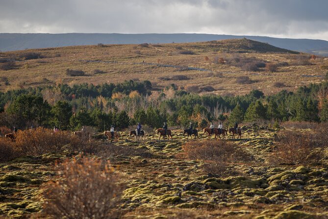 Private Icelandic Horseback Ride: Matched to Skill Level - Lava fields and green hillsides: scenery you can actually reach