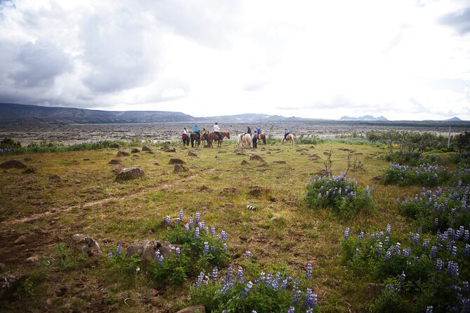 Private Icelandic Horseback Ride: Matched to Skill Level - Private group care: horses and guides matched to you
