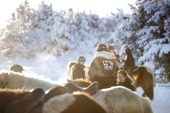 Private Icelandic Horseback Ride: Matched to Skill Level - Price of $210.51 for 50 minutes: where the money goes