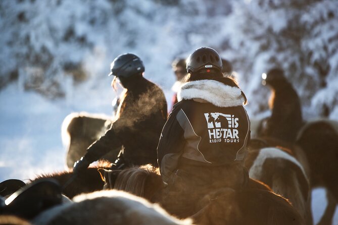 Private Icelandic Horseback Ride: Matched to Skill Level - Who this Reykjavik horseback ride suits best