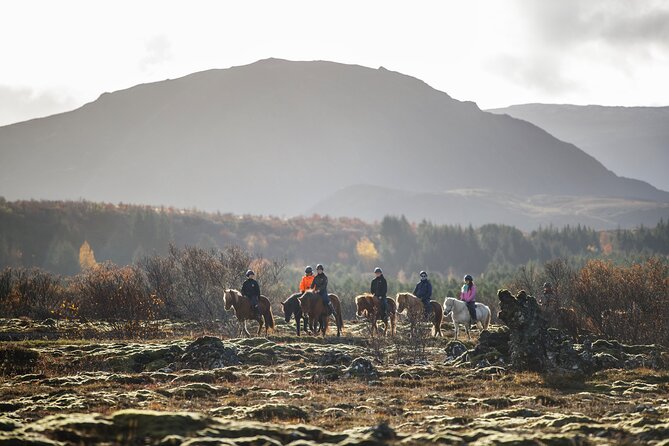 Private Icelandic Horseback Ride: Matched to Skill Level - What a 50-minute ride really feels like for your skill level