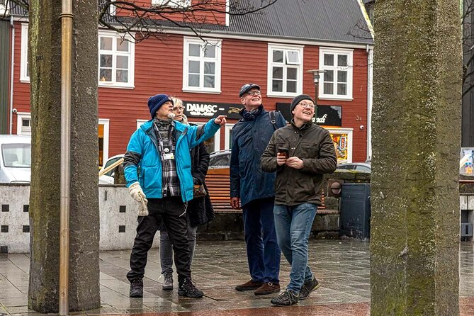Private Icelandic Viking Age Walking Tour - Viking-Age Reykjavik, Without the Rush