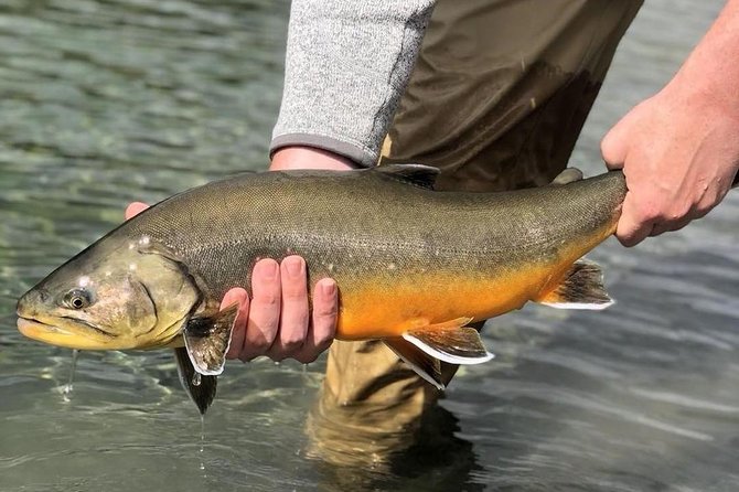 Private Lake and River Fishing Tour from Reykjavik - Price and what you are getting for $768.94 per person