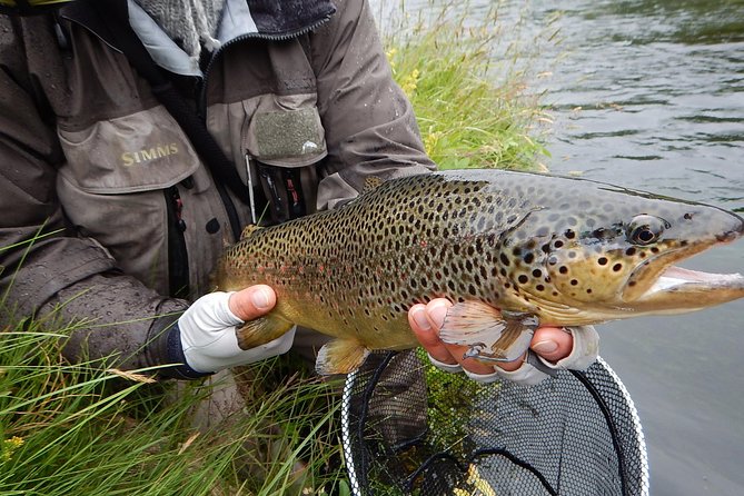 Private Lake and River Fishing Tour from Reykjavik - Admission ticket included, and how that affects your planning