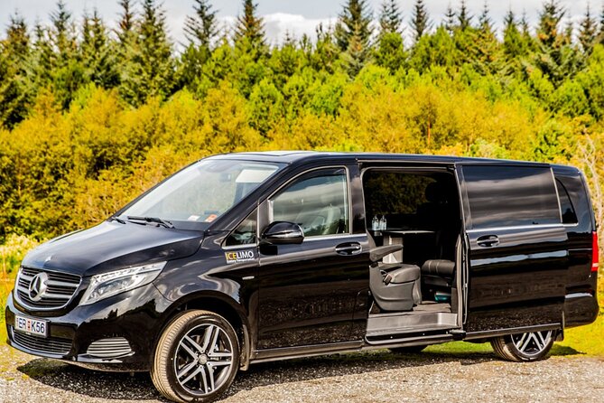 Private Luxury Airport transport Keflavik in Sedan - Pickup and meeting points, from customs to curbside