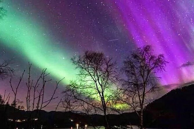 Private Northern Lights Tour from Reykjavik - Your private guide’s job: finding the sky, then making it make sense