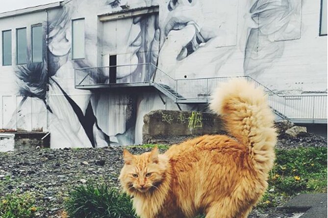 Private Reykjavik Cat Walking Tour - Kattakaffihúsið: hot cocoa or coffee, an Icelandic pastry, and real cat time