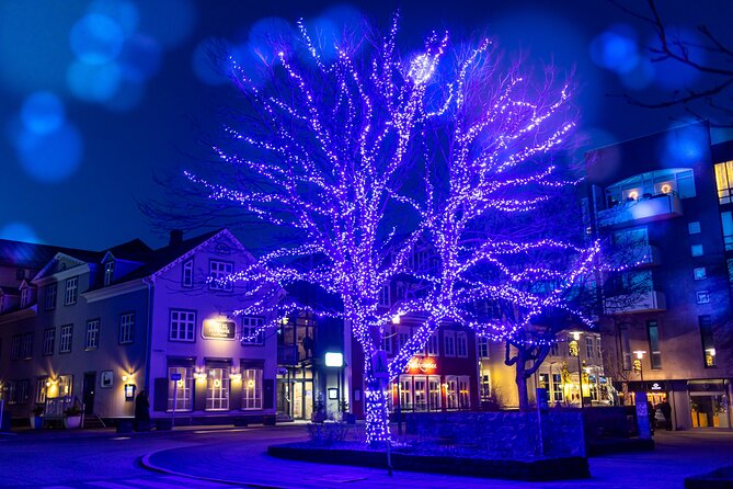Private Reykjavik Christmas Walking Tour - The value of a private Reykjavik Christmas walk