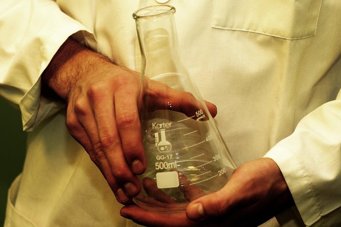 Private Reykjavik Escape Game Experience: The Scientist 1 - The Scientist 1 Story Mission: A Cancer-Cure Heist With a Timer