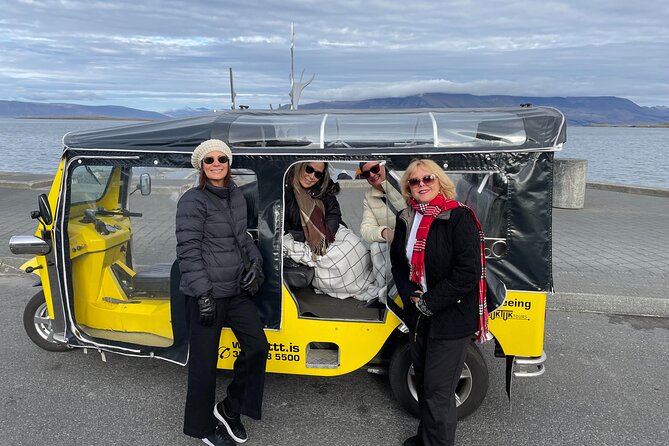 Private Reykjavík Tuk Tuk – City Highlights Tour - Entering Reykjavík Harbor: Harpa first, then the city’s rhythm