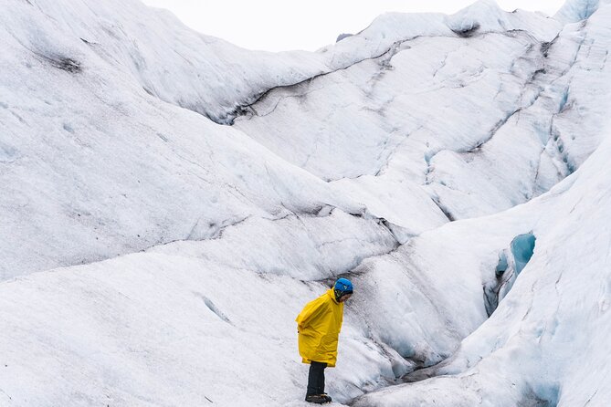 Private South Coast and Glacier Hike - With photos - 8:00 am pickup in Reykjavik, then a full day of South Coast highlights