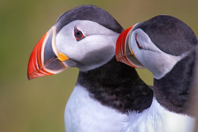 Private South Coast Tour with a Professional Photographer/Guide - Price and what $1,490 per group really buys