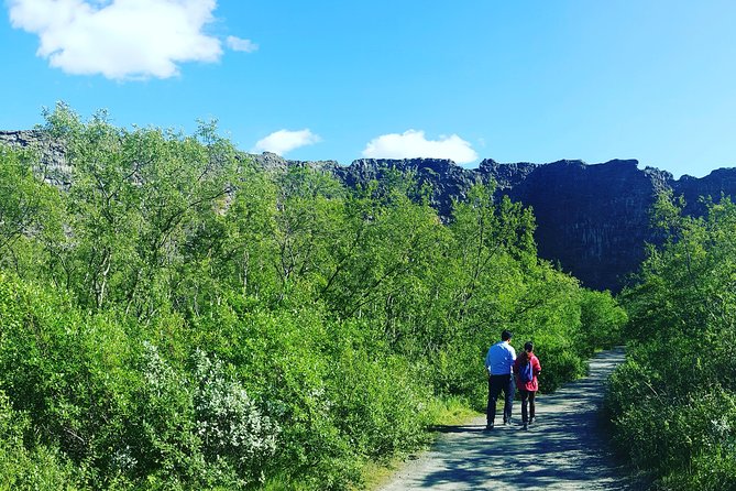 Private Tour in Northern Iceland from Akureyri - The part that really sells the experience: your guide