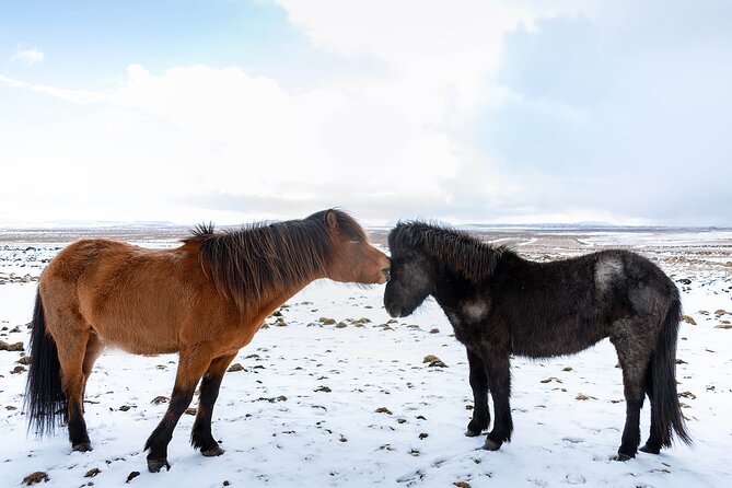 Private Tour Of The Golden Circle With Farm Visits In Iceland - Private pickup around Reykjavik with Wi-Fi in the car