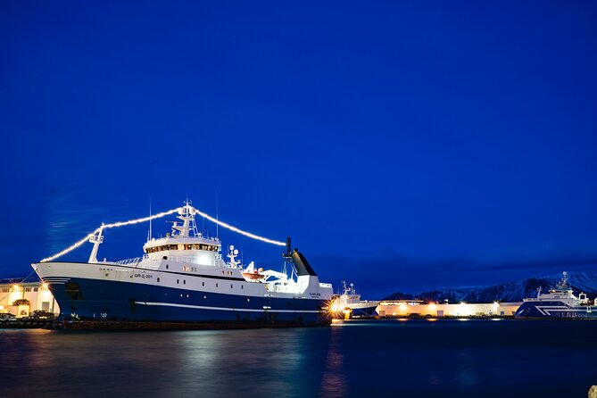 Private Transfer Service from Hotels in Reykjavik to Cruise Ship Terminal - Hotel-to-Cruise Transfers in Reykjavik, Done Like a Real Service