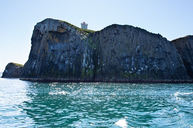 Puffin and Wildlife Boat Tour - Captain and Guide: What Makes the Watching Feel Effortless