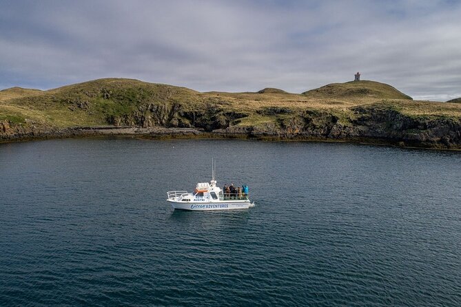 Puffin and Wildlife Boat Tour - Should You Book This Puffin and Wildlife Boat Tour?