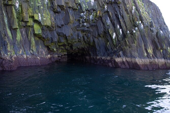 Puffin and Wildlife Boat Tour - FAQ