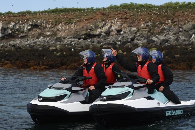 Puffin Jet ski tour in Reykjavík - Puffin Jet ski in Reykjavík Bay: why this feels different