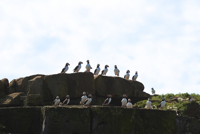Puffin Jet ski tour in Reykjavík - Where you start: meeting point and pickup that reduces stress