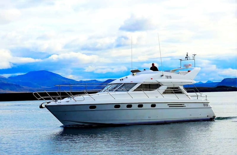 Puffin Watching Yacht Cruise from Downtown Reykjavík - Who This Cruise Fits Best (And Who Might Want Another Option)