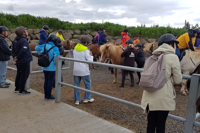 Red Lava Horse Riding Tour From Reykjavik - Meeting the Team at Solhestar: Pairing, Outfitting, and First Mount Nerves