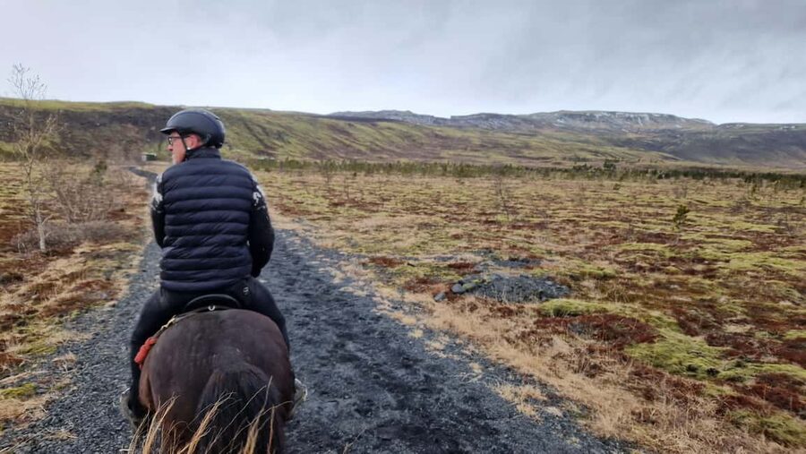 Reykjadalur: Horseback Riding Tour for Families & Beginners - Meeting The Horses at Sólhestar Stables, With Free Parking