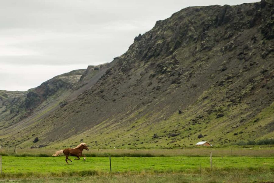 Reykjadalur: Horseback Riding Tour for Families & Beginners - Gear and Comfort Tips That Actually Matter in Iceland