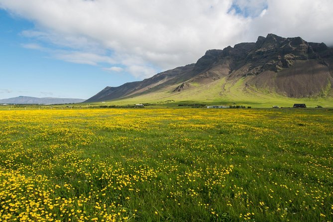 Reykjanes peninsula - Blue Lagoon for 2 hours: plan your ticket so you do not lose time