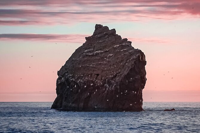 Reykjanes Peninsula Private tour Iceland - Fagradalsfjall volcano: seeing new land take shape
