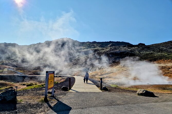 Reykjanes Peninsula Private tour Iceland - Private group perks, Reykjavik pickup, and why it saves energy