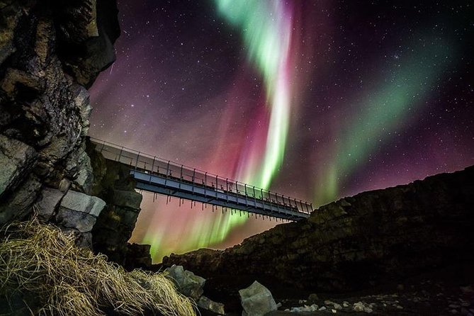 Reykjanes Peninsula Tour - Pickup at Harpa: how the timing works without the usual Reykjavik chaos