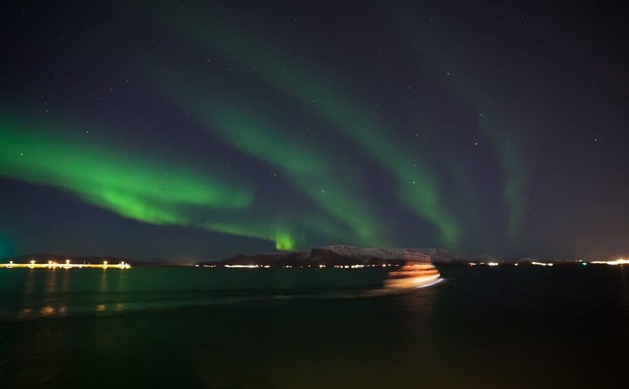 Reykjavik: 2-Hour Northern Lights by Boat with Backup Plan - When the Clouds Win: The Whales of Iceland Exhibition Backup Plan