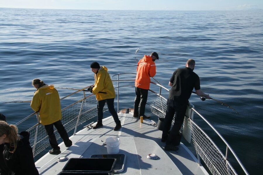 Reykjavik: 3-Hour Sea Angling Gourmet Experience Tour - Key highlights at a glance