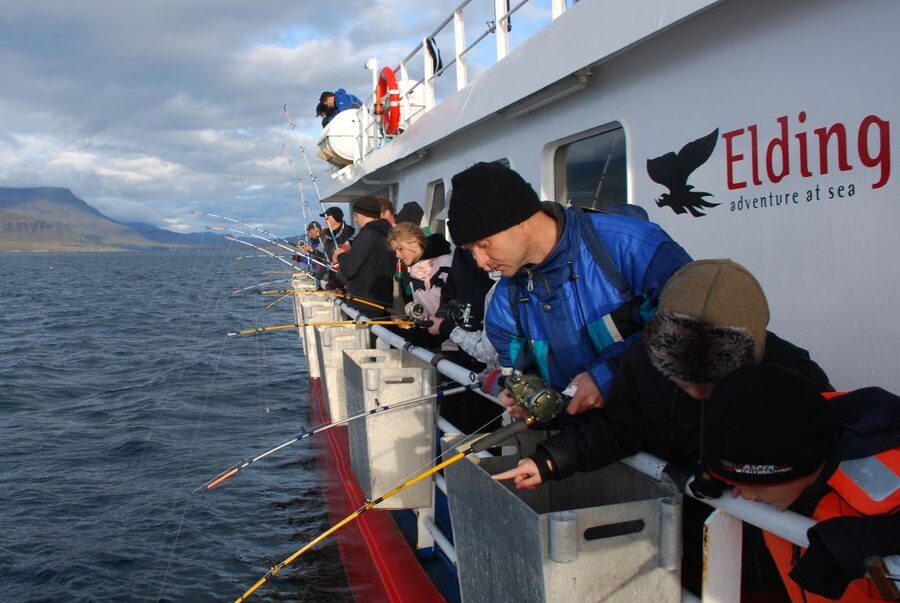 Reykjavik: 3-Hour Sea Angling Gourmet Experience Tour - Catch-to-table BBQ: the part that makes it feel special