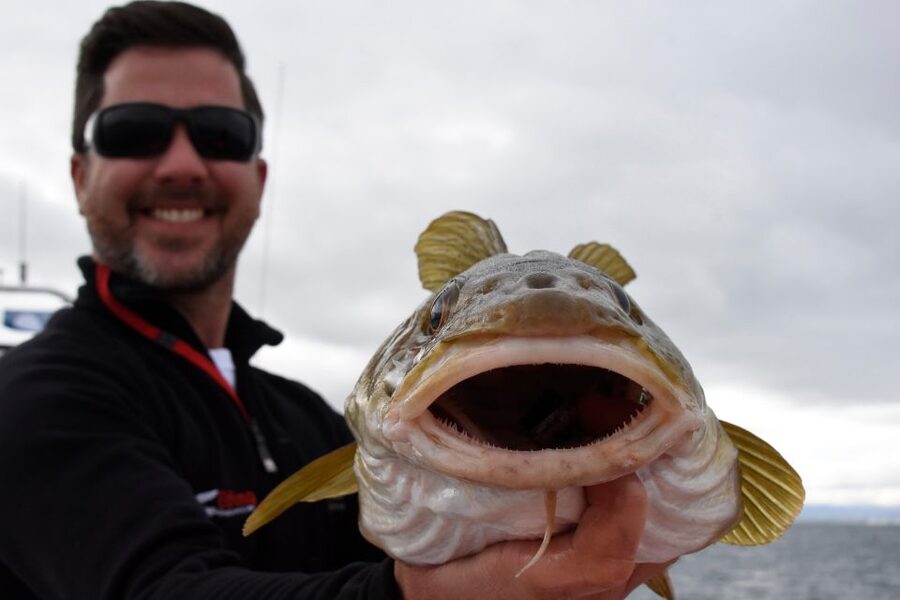 Reykjavik: 3-Hour Sea Angling Gourmet Experience Tour - Weather and seasickness reality check