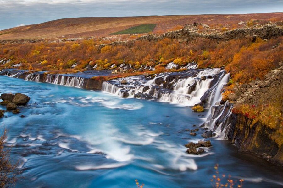 Reykjavik: 8-Day Small Group Circle of Iceland Tour - Fjord views, local farmers at Kaffi Kú, and Hauganes whale watching