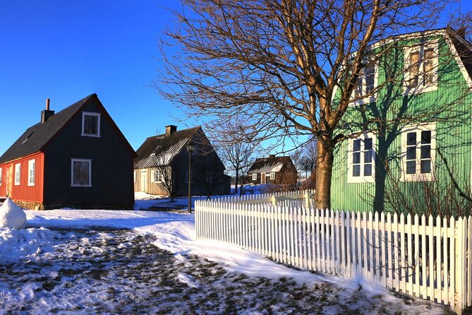 Reykjavik City Card 48 hours - Day 1: National Gallery, plus contemporary art at Hafnarhús