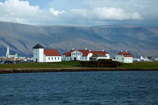 Reykjavik City Private Tour - Perlan and the Glass Dome Built on Hot Water Tanks