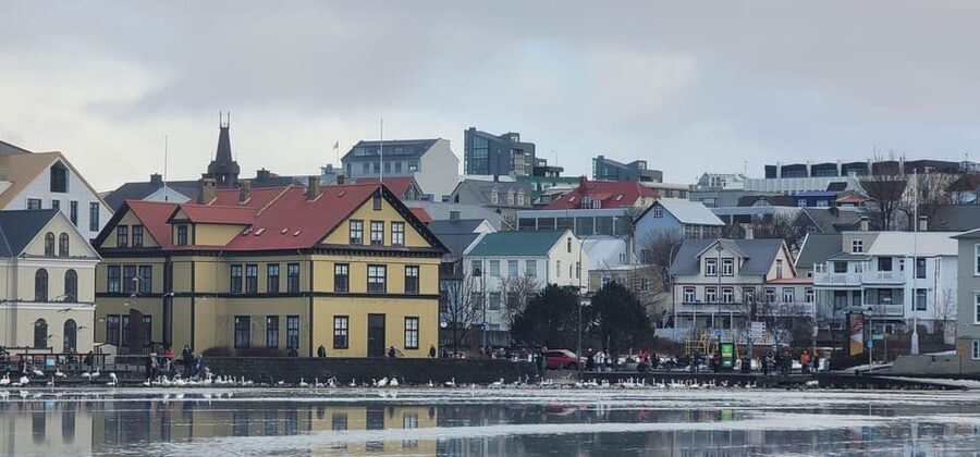 Reykjavik City Private Tour: Perlan, Arbaer & City Landmarks - Key highlights you’ll feel from the start