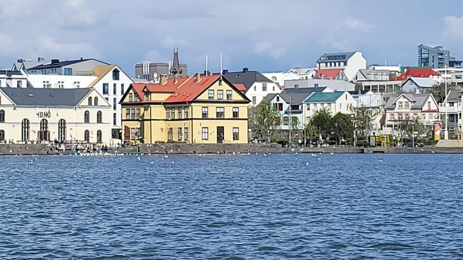 Reykjavik City Private Tour: Perlan, Arbaer & City Landmarks - The Perlan ice cave: what to expect and how to plan the ticket