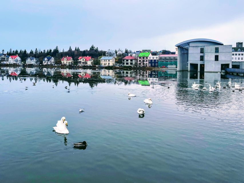 Reykjavik: City Walking tour in Small Group with Local Guide - Price and Logistics: Why $51 Can Be a Smart First-Day Spend