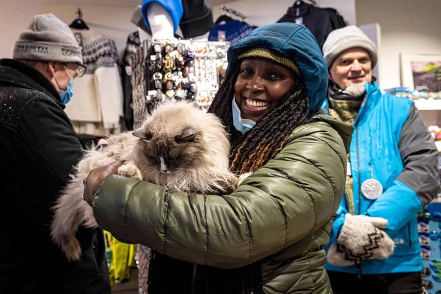 Reykjavik: Feline-Focused City Walking Tour - Why a cat-watching walk works in downtown Reykjavik