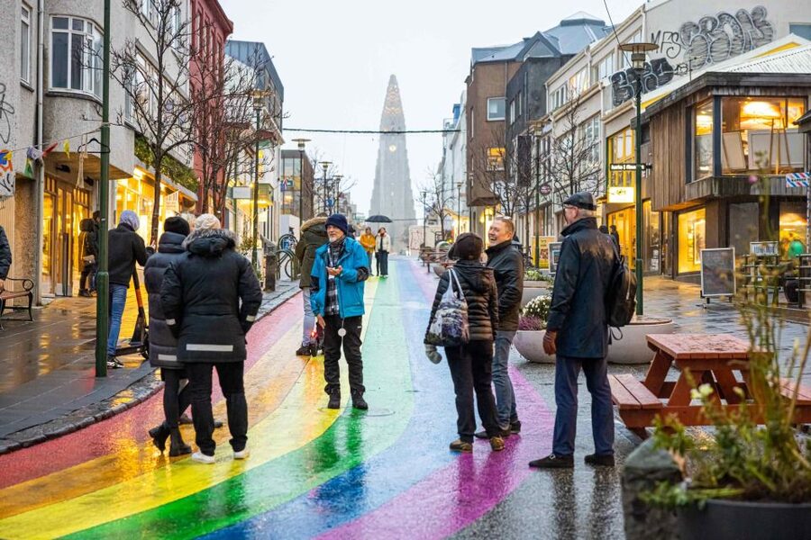 Reykjavik: Feline-Focused City Walking Tour - Hallgrímskirkja and the Statue Garden of Einar Jónsson: ending with something iconic