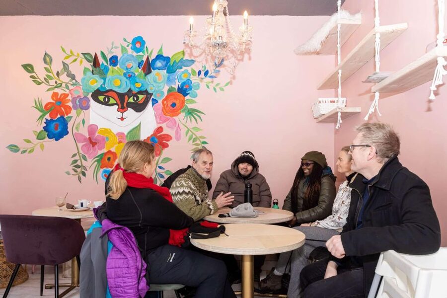 Reykjavik: Feline-Focused City Walking Tour - The “celebrity cats” chance: Baktus, Jonsi, Ofelia, and the fun of looking