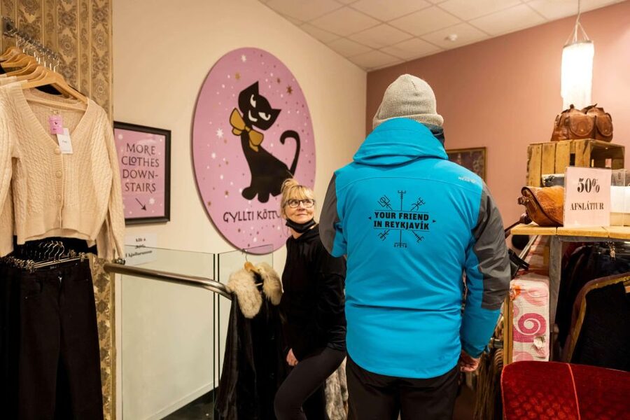 Reykjavik: Feline-Focused City Walking Tour - Guide energy matters, and you get that local storytelling feel