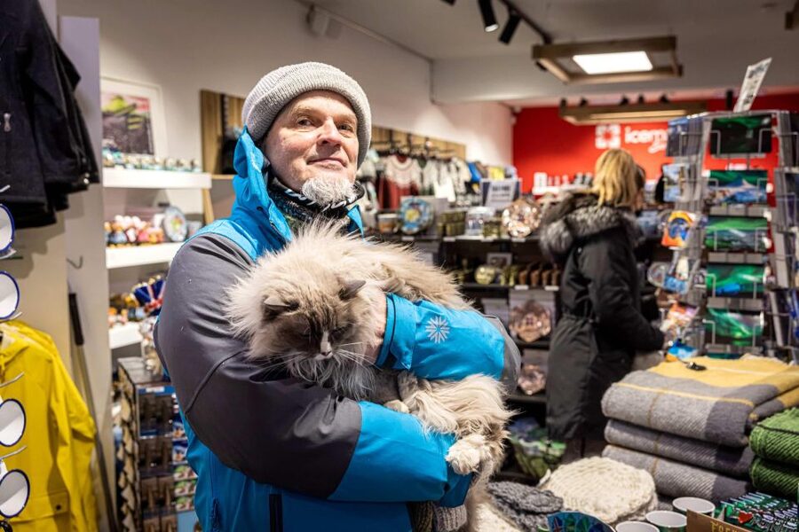 Reykjavik: Feline-Focused City Walking Tour - Meeting at Hlöllabátar, finding your guide, and getting set for rain