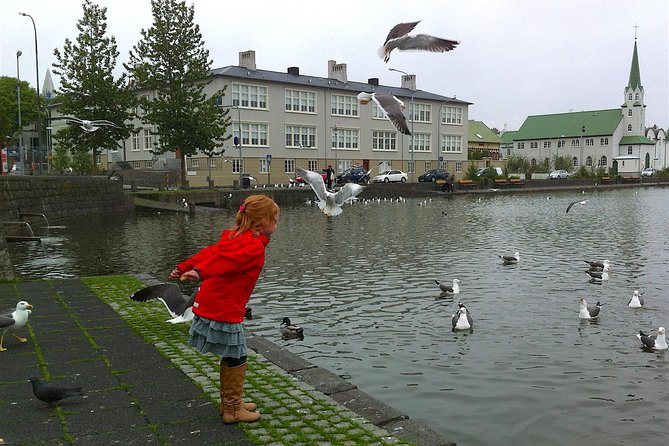 Reykjavik Food Tour and City Walk - PRIVATE TOUR - Why the guide narration matters, and the Helga Bára effect