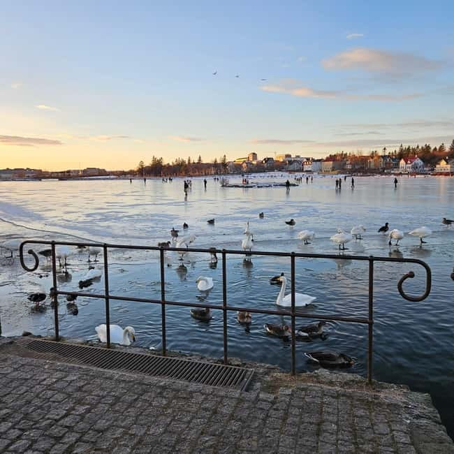 Reykjavik: Food Tour by locals - Starting at Old Harbour House, where the tour really begins